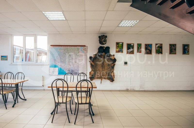 Турбаза Формула, поселок Мезмай, кафе