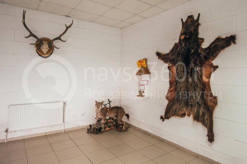 Турбаза Формула, поселок Мезмай, трофеи